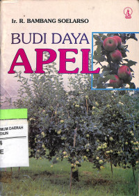 Budi Daya Apel