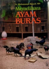 Memelihara Ayam Buras