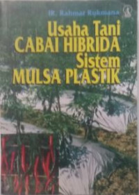 Usaha Tani Cabai Hibrida Sistem Mulsa Plastik