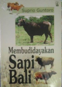 Membudidayakan Sapi Bali