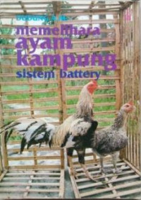 Image of Memelihara Ayam Kampung Sistem Battery