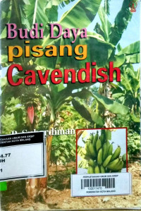Image of Budi Daya Pisang Cavendish