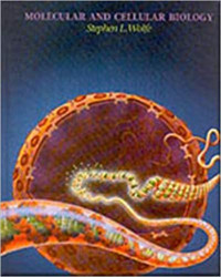 Image of Molecular And Cellular Biology