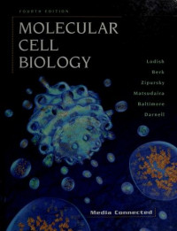 Image of Molecular Cell Biology