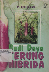 Image of Budi Daya Terung Hibrida