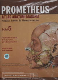 Image of Prometheus Atlas Anatomi Manusia : Kepala, Leher & Neuroanatomi