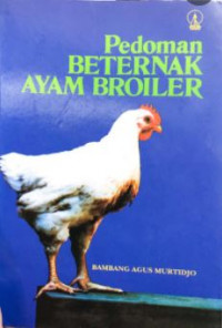 Pedoman Beternak Ayam Broiler