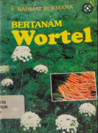 Bertanam Wortel